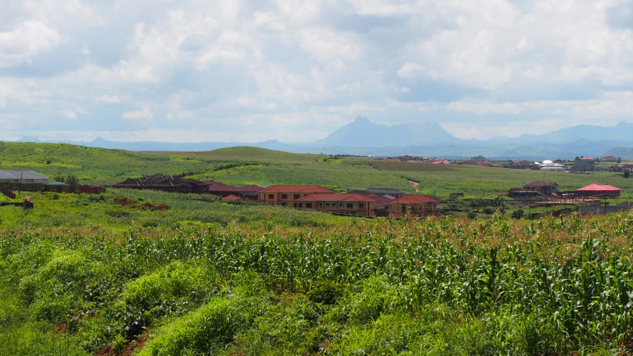 小さきもの達の世界